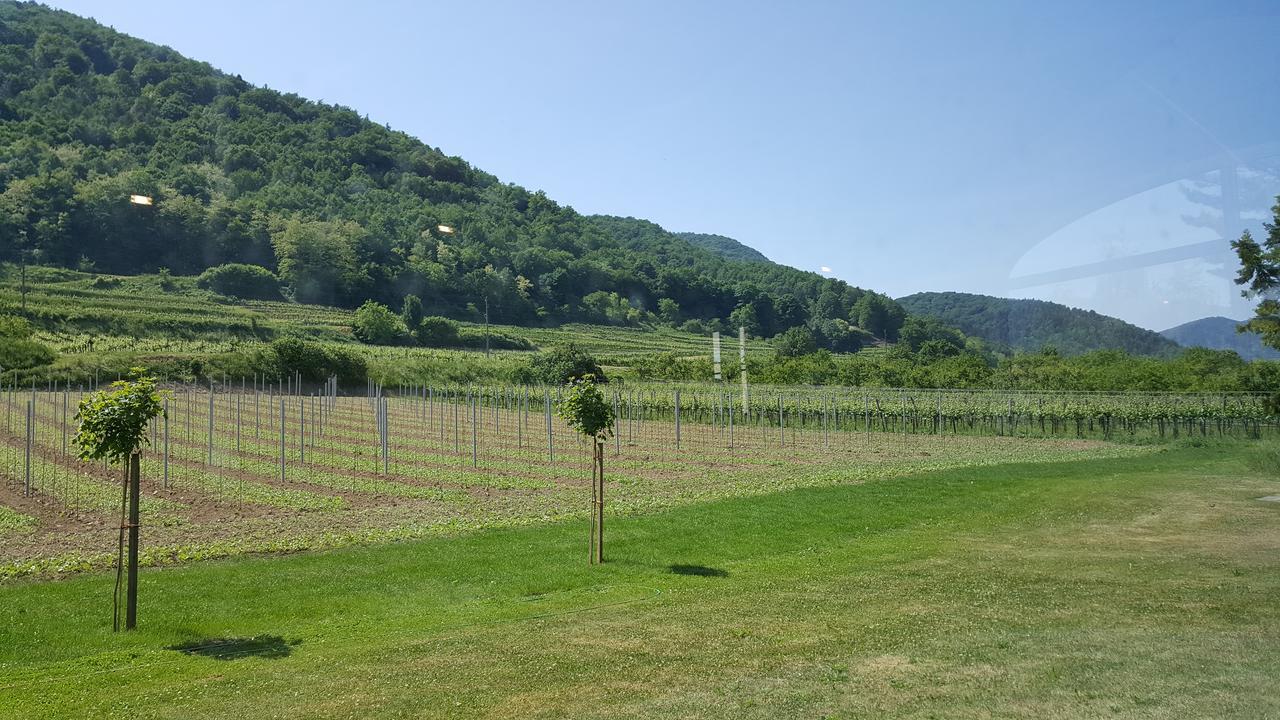 Gasthof Zur Wachau Hofarnsdorf Exteriér fotografie